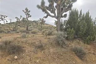 54763 Twentynine Palms Hwy, Yucca Valley, CA 92284 - Photo 1