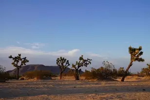 1001 Gibralter Rd, Landers, CA 92285 - Photo 48