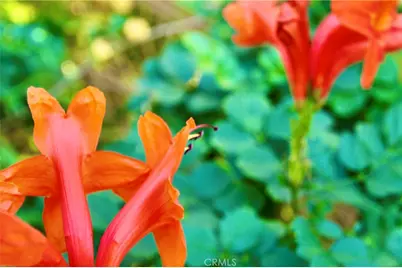 79927 Viento, La Quinta, CA 92253 - Photo 2