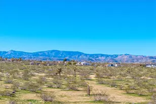 670 Ducor Ave, Landers, CA 92285 - Photo 72