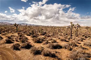 2680 Vine, Pioneertown, CA 92268 - Photo 40