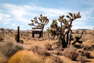 2680 Vine, Pioneertown, CA 92268 - Photo 52