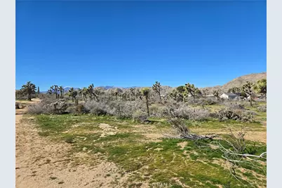 7484 Palm Avenue, Yucca Valley, CA 92284 - Photo 10