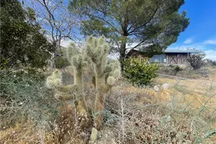 50310 Ash, Morongo Valley, CA 92256 - Photo 16