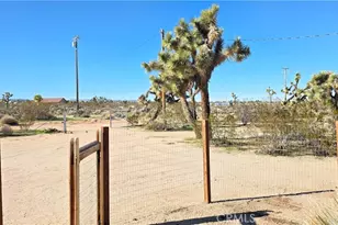 3739 Inez, Yucca Valley, CA 92284 - Photo 50