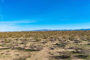 437 Mallow Rd, Landers, CA 92285 - Photo 40