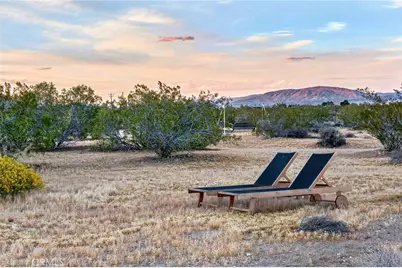437 Mallow Road, Landers, CA 92285 - Photo 46