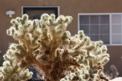 2029 Wamego, Landers, CA 92285 - Photo 36