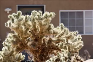 2029 Wamego, Landers, CA 92285 - Photo 36