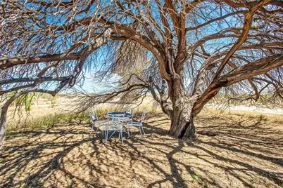 1010 Wamego, Yucca Valley, CA 92284 - Photo 34