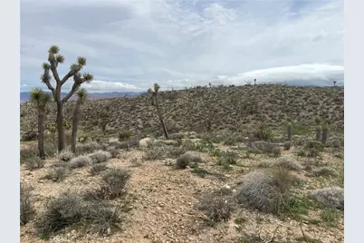 57300 Sunway, Yucca Valley, CA 92284 - Photo 8