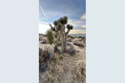 55370 Bunny Road, Yucca Valley, CA 92284 - Photo 4
