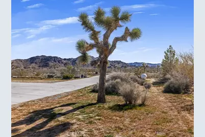 60208 Aberdeen Drive, Joshua Tree, CA 92252 - Photo 40