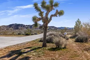 60208 Aberdeen Dr, Joshua Tree, CA 92252 - Photo 40