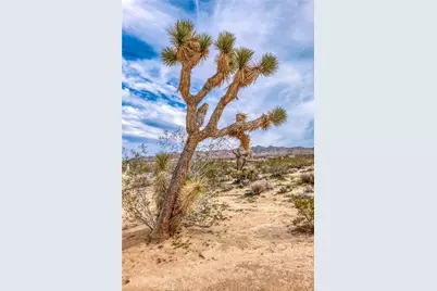 130 Rd Hollinger, Joshua Tree, CA 92252 - Photo 18
