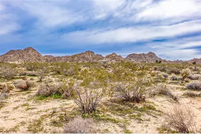 130 Rd Hollinger, Joshua Tree, CA 92252 - Photo 6