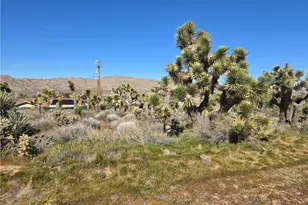 55000 Bunny Rd, Yucca Valley, CA 92284 - Photo 1