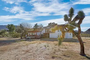 8173 Fleur Dr, Joshua Tree, CA 92252 - Photo 50