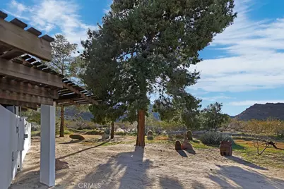 8173 Fleur Drive, Joshua Tree, CA 92252 - Photo 46