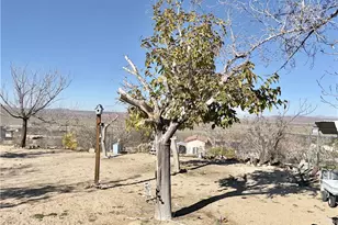 7117 Bonita, Joshua Tree, CA 92252 - Photo 32