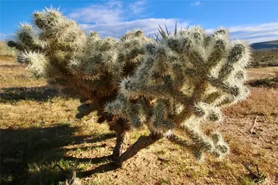 111 Perris, Landers, CA 92285 - Photo 2