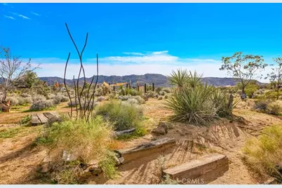 61481 Latham Trail, Joshua Tree, CA 92252 - Photo 46