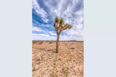 147 Little Road, Joshua Tree, CA 92252 - Photo 4