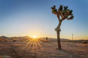55628 Eureka, Yucca Valley, CA 92284 - Photo 32