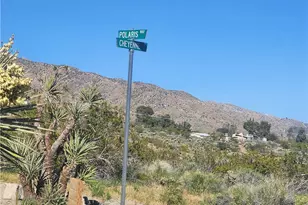 0 Cheyenne/Polaris, Morongo Valley, CA 92256 - Photo 1