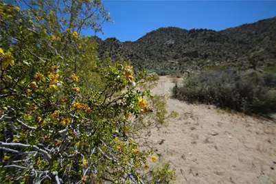 0 San Andreas, Joshua Tree, CA 92252 - Photo 26