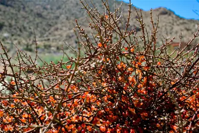 0 San Andreas, Joshua Tree, CA 92252 - Photo 38