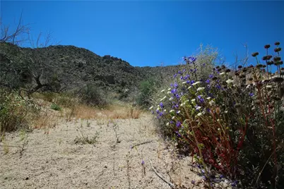 0 San Andreas, Joshua Tree, CA 92252 - Photo 30