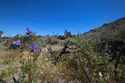 0 San Andreas, Joshua Tree, CA 92252 - Photo 28