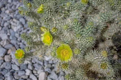 60194 La Mirada Trail, Joshua Tree, CA 92252 - Photo 28