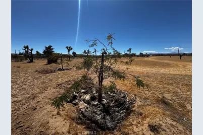 0 Alta, Yucca Valley, CA 92284 - Photo 12