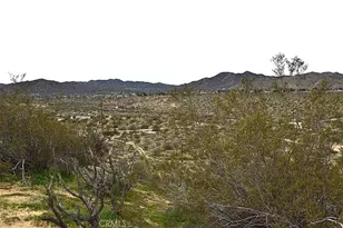 8425 Indio Ave, Yucca Valley, CA 92284 - Photo 14