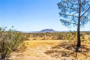 56674 Cone Blvd, Landers, CA 92285 - Photo 46