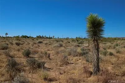49 Aberdeen, Yucca Valley, CA 92284 - Photo 4