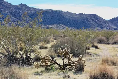 64755 Foothill Drive, Joshua Tree, CA 92252 - Photo 10