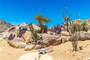 63436 Doggie, Joshua Tree, CA 92252 - Photo 28