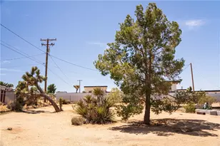 60291 Alta Loma, Joshua Tree, CA 92252 - Photo 24