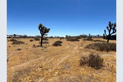 4321 Avalon Avenue, Yucca Valley, CA 92284 - Photo 12