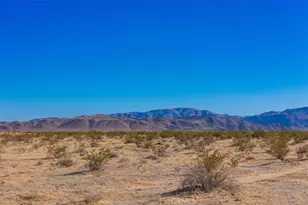 87101 29 Palms Hwy, 29 Palms MCB, CA 92277 - Photo 44