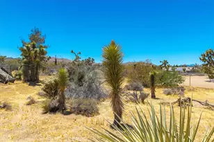 7394 Warren Vista Ave, Yucca Valley, CA 92284 - Photo 46