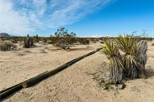 1234 Desert Lily, Joshua Tree, CA 92252 - Photo 1
