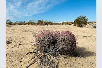 1234 Desert Lily, Joshua Tree, CA 92252 - Photo 8