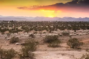 58459 Starlight Mesa Rd, Yucca Valley, CA 92284 - Photo 1