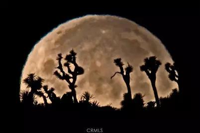 8421 Sunset Road, Joshua Tree, CA 92252 - Photo 6