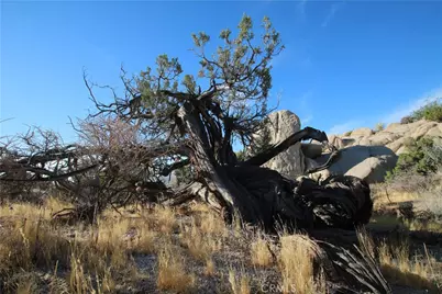 0 Mirlo, Yucca Valley, CA 92284 - Photo 14