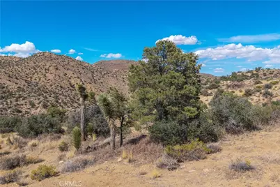 48620 Madison Road, Pioneertown, CA 92268 - Photo 58